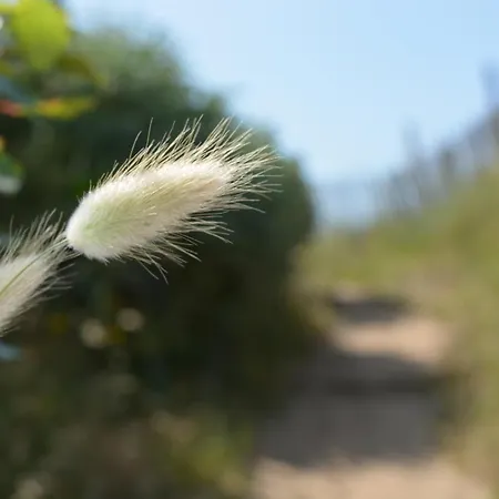 Ravissante En Bord De Aux Grenettes بيت للعطل