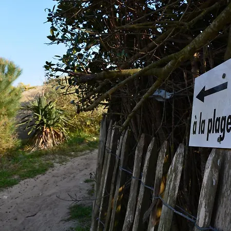 Ravissante En Bord De Aux Grenettes * Sainte-Marie-de-Ré